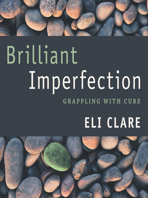 cover image of Brilliant Imperfection